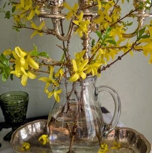 Meet your Posher, Stella